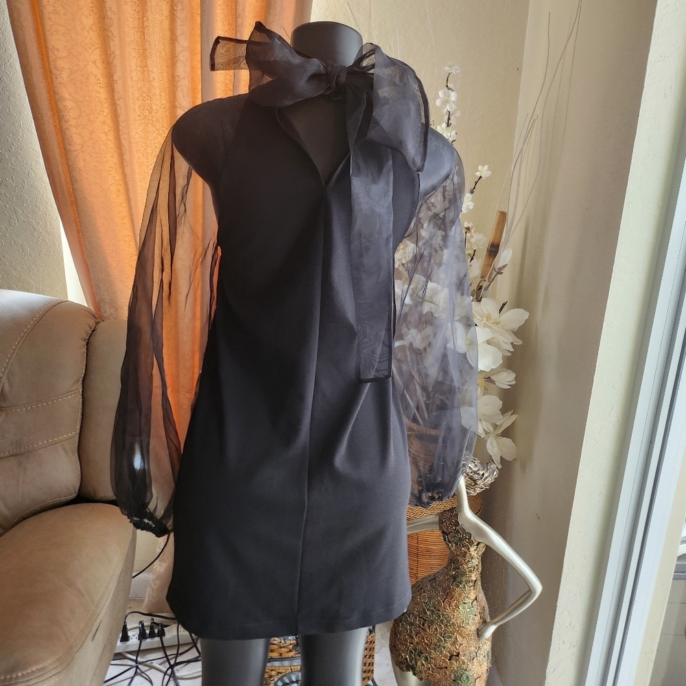 Zara Dress Sheer Puff Long Sleeves Bow Tie Size M - Picture 5 of 6